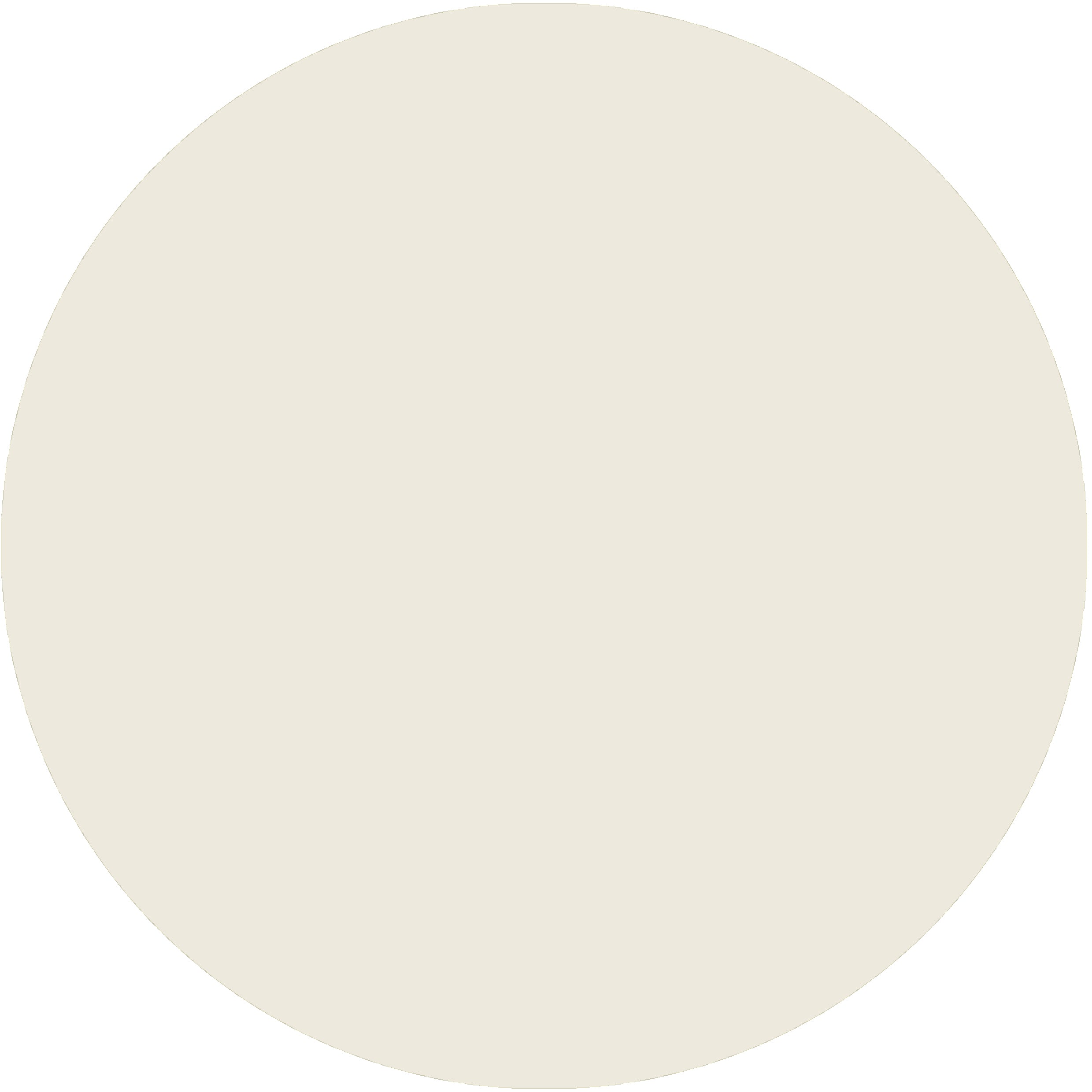 Cameo White Active Emulsion Paint by Sanderson