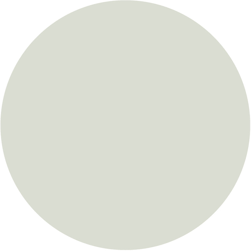 Pale Powder No.204