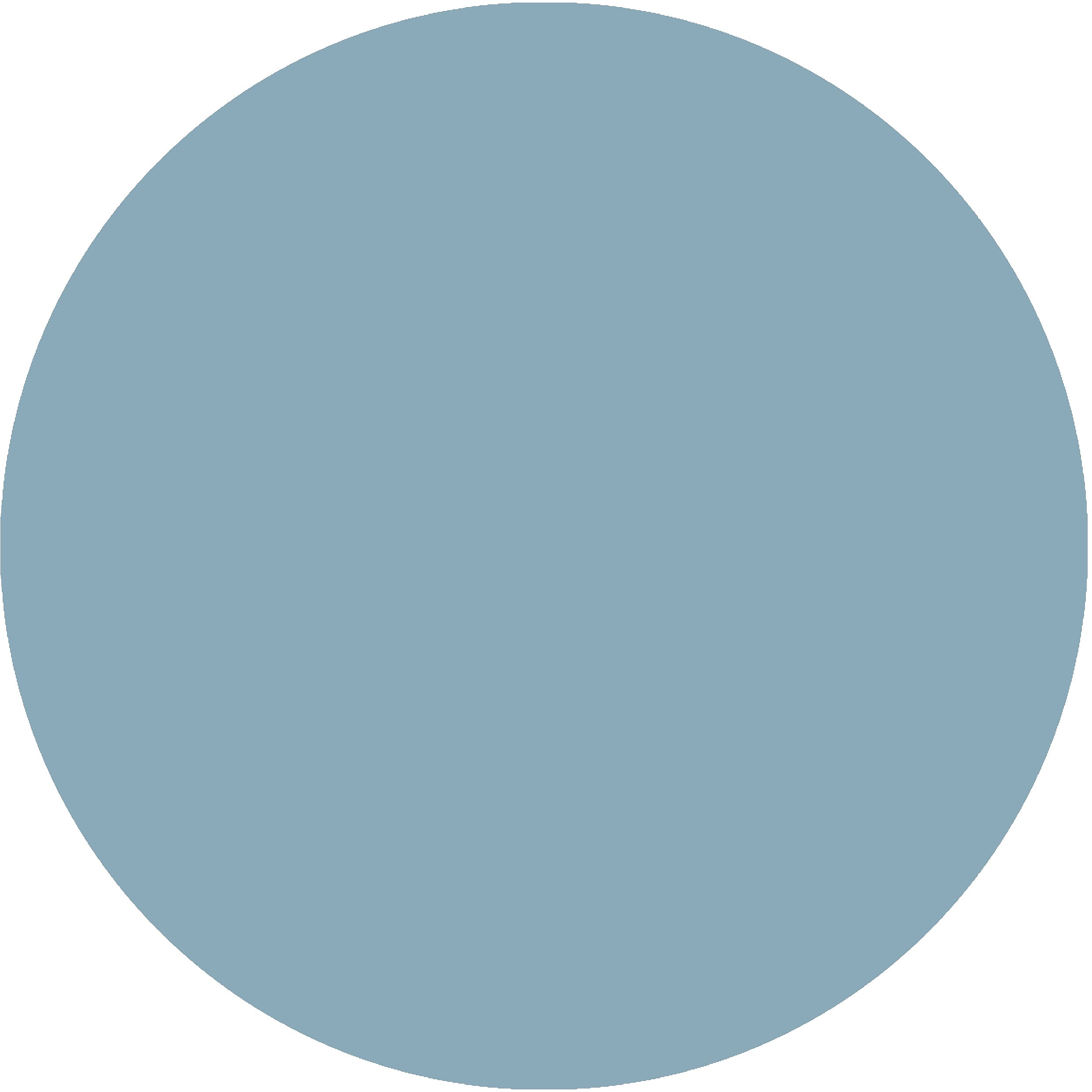Puddle – Ray Munn