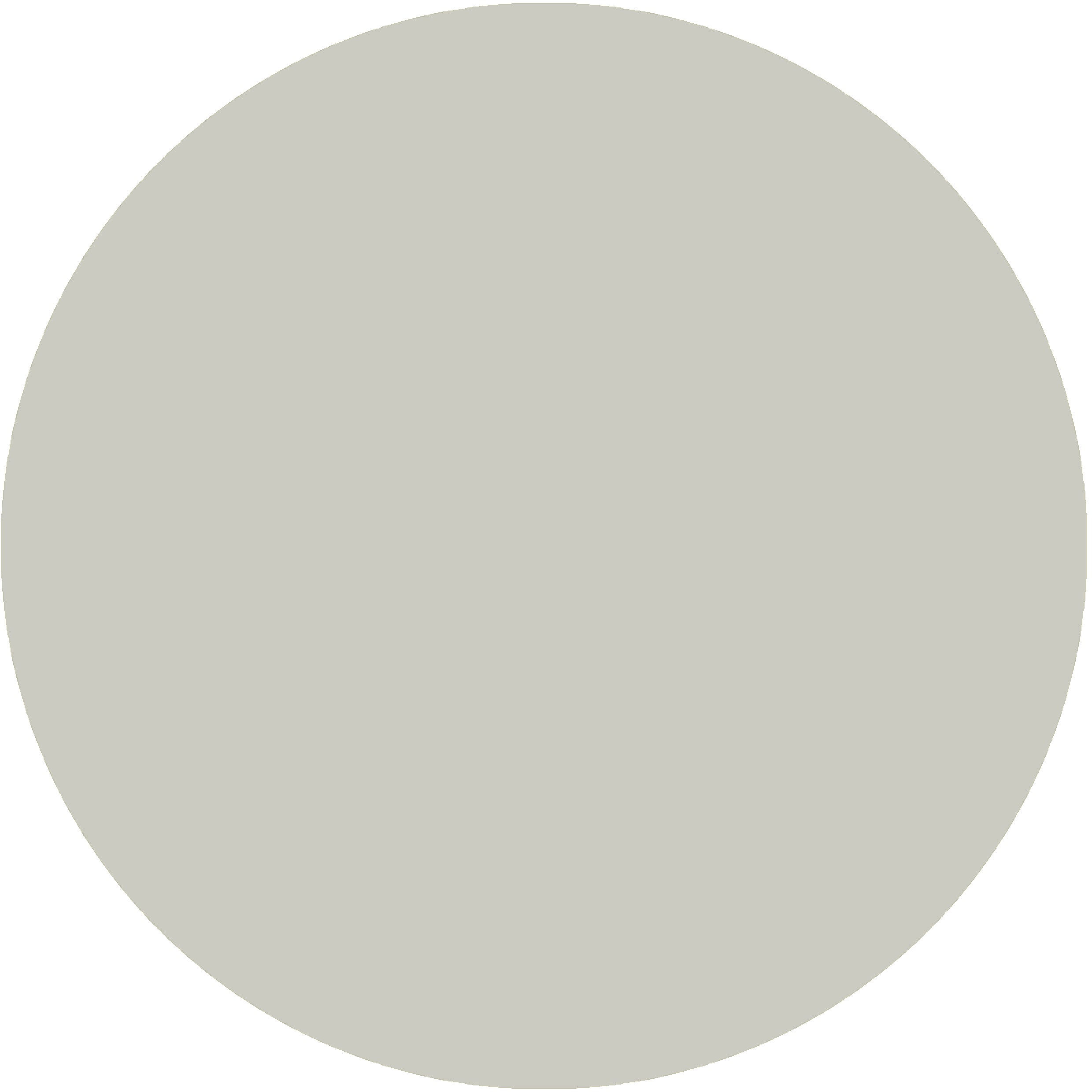 Platinum Grey – Ray Munn