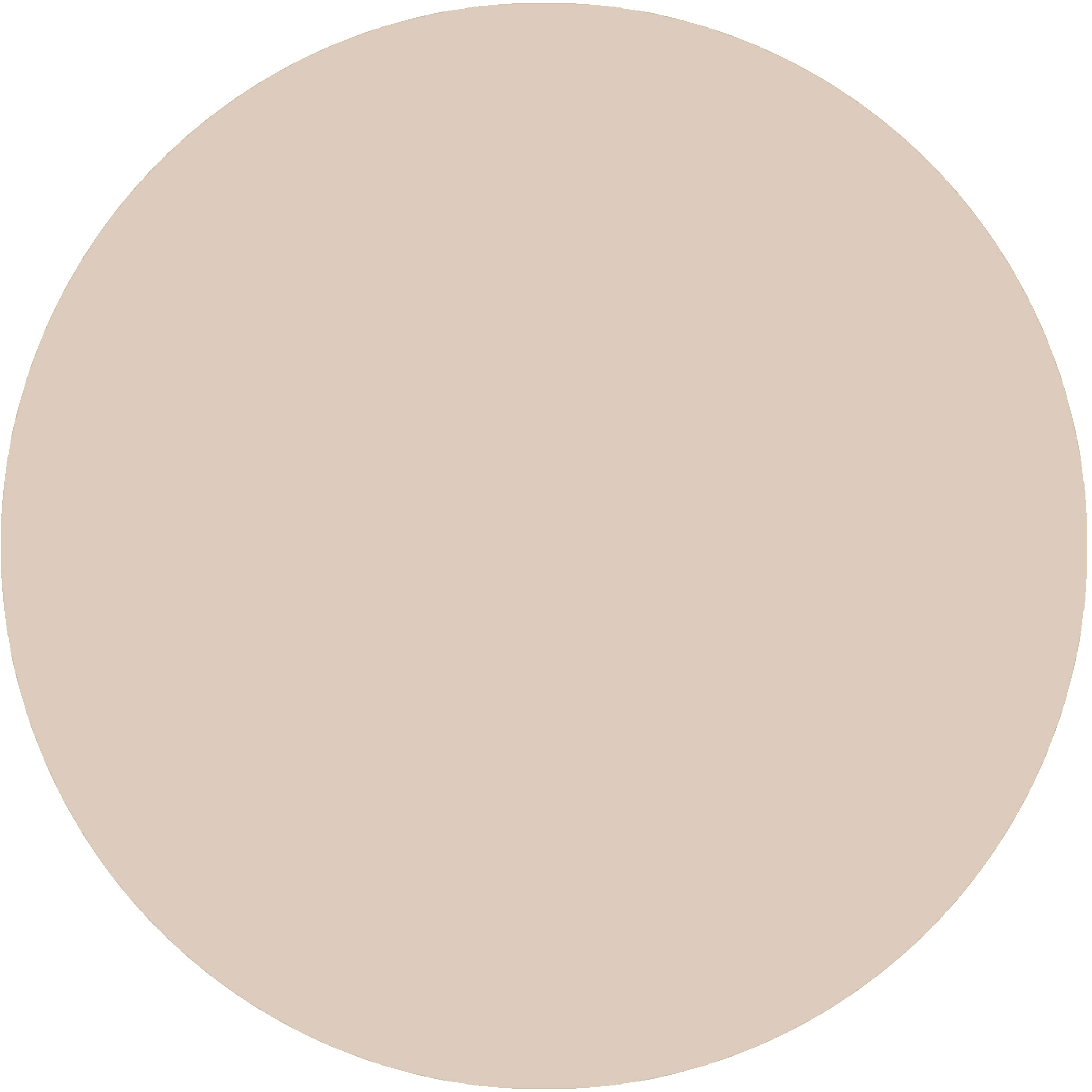 Sand Tan – Ray Munn