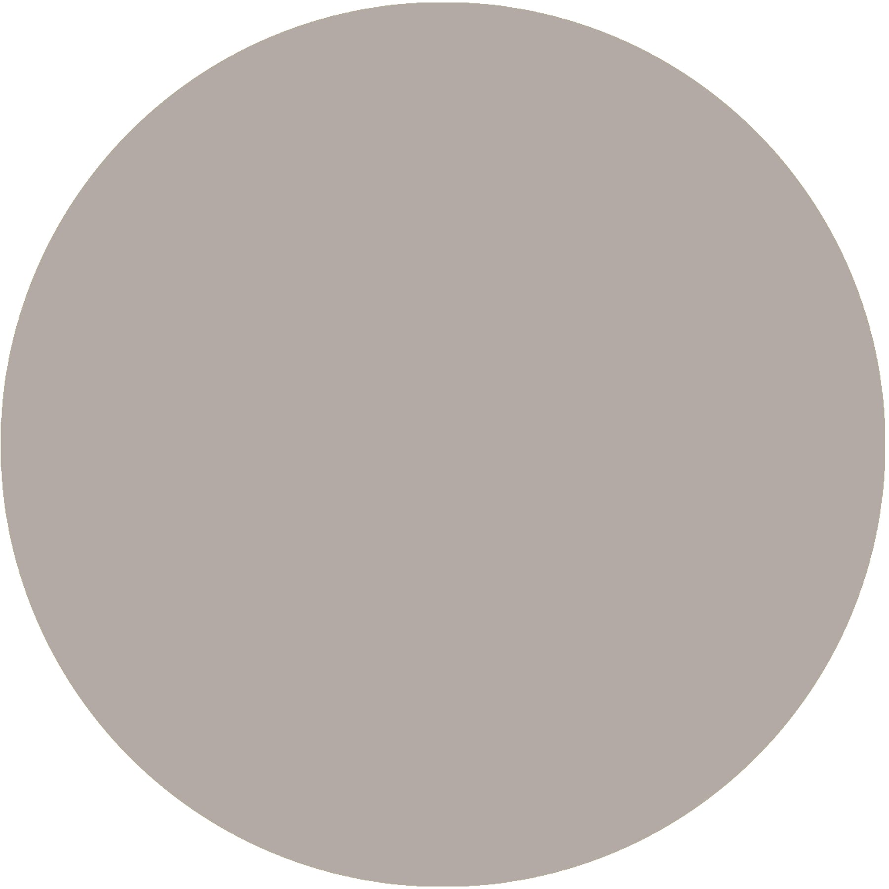 Smoked Pearl – Ray Munn